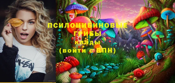 ешки Армянск