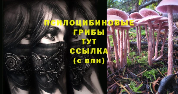 ешки Армянск