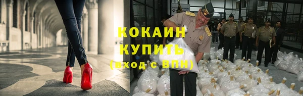 прущие крисы Арсеньев