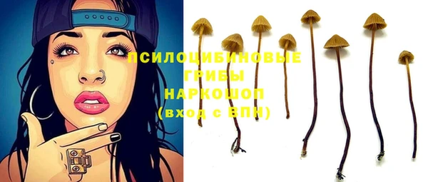 ешки Армянск