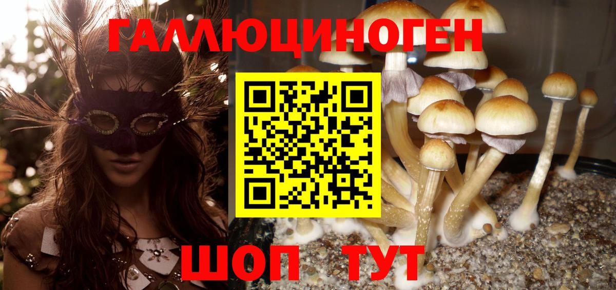 Дюртюли  Псилоцибиновые грибы мицелий  наркотики  Вход с VPN 
