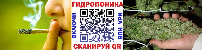 Бошки Шишки индика  цены наркотик  Дюртюли 